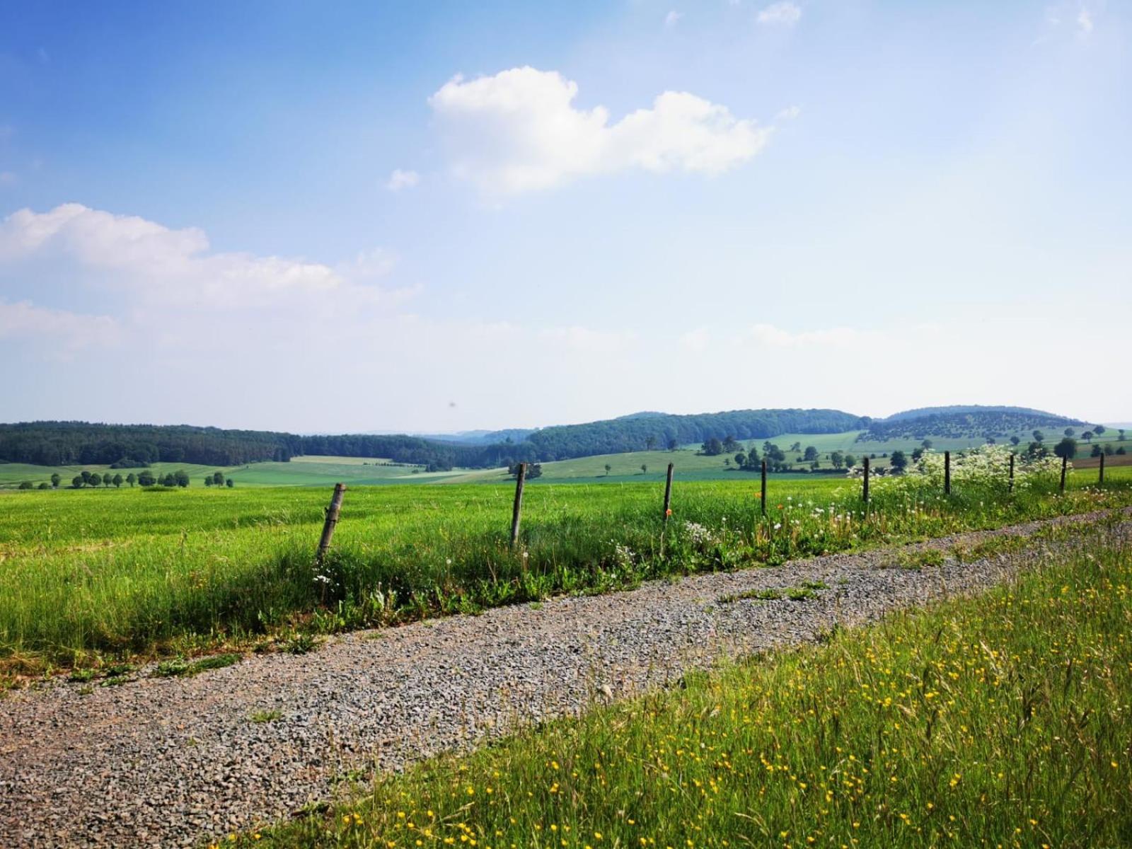 Deine-Eifel-Ferienwohnung Feusdorf 外观 照片