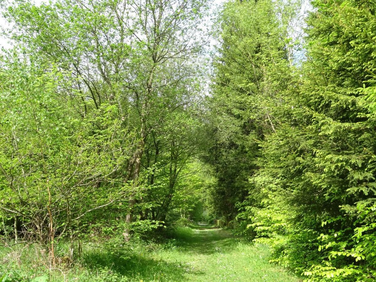 Deine-Eifel-Ferienwohnung Feusdorf 外观 照片