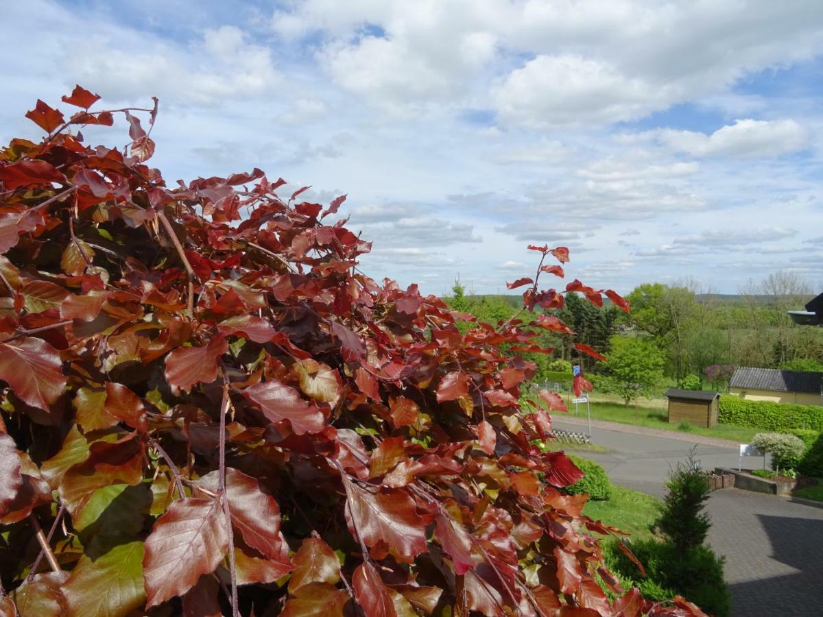 Deine-Eifel-Ferienwohnung Feusdorf 外观 照片